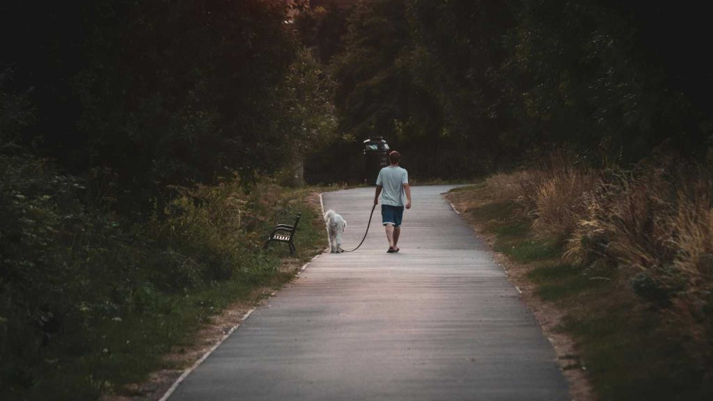 Procesos personales para recuperar el rumbo acompañados por coach en Valencia