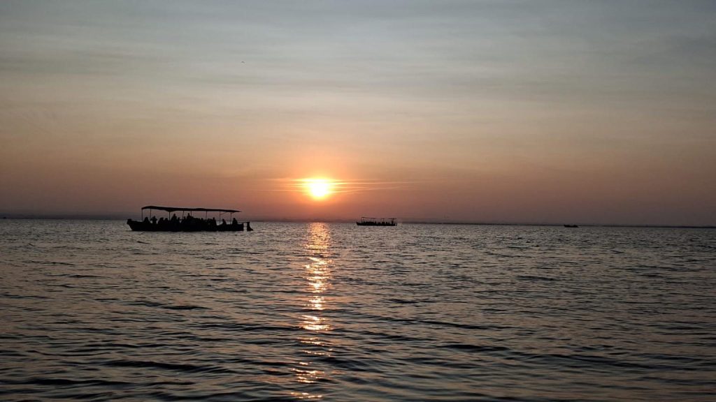 Paseo en barca al atardecer en el parque natural de la Albufera en Valencia.