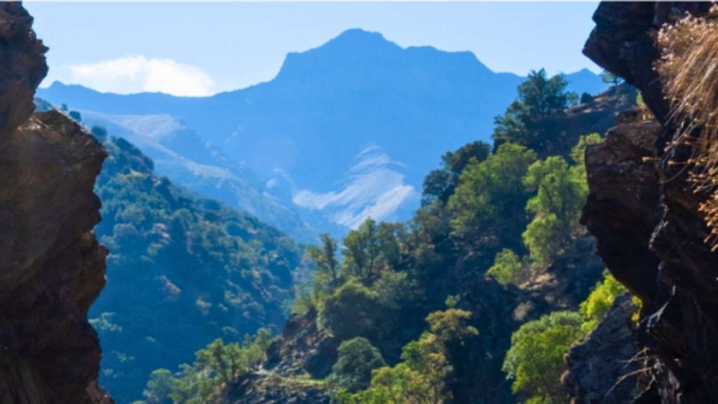 Vista panorámica de alojamiento en Güéjar Sierra rodeado de naturaleza, ideal para turismo ecológico y experiencias sostenibles en Granada
