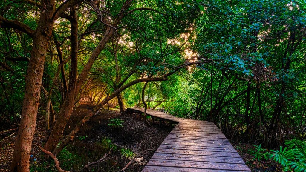 Guía espiritual para encontrar claridad emocional