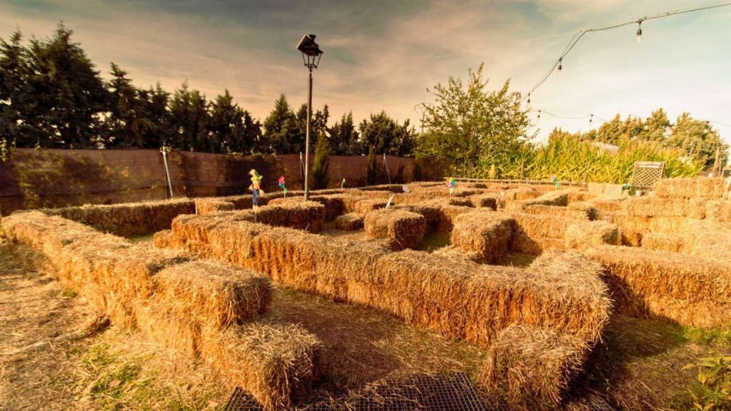 Finca Ecoterranea en entorno rural, ejemplo de ecoturismo en España para familias en contacto con la naturaleza.