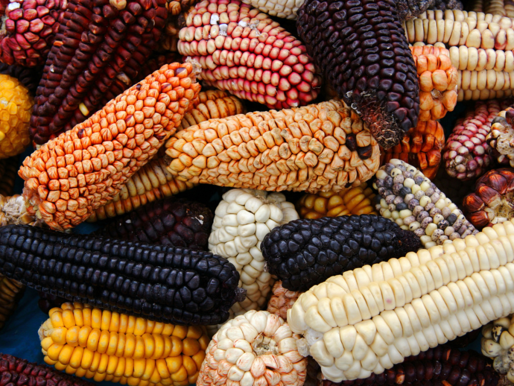 restaurante peruano en Sant Cugat