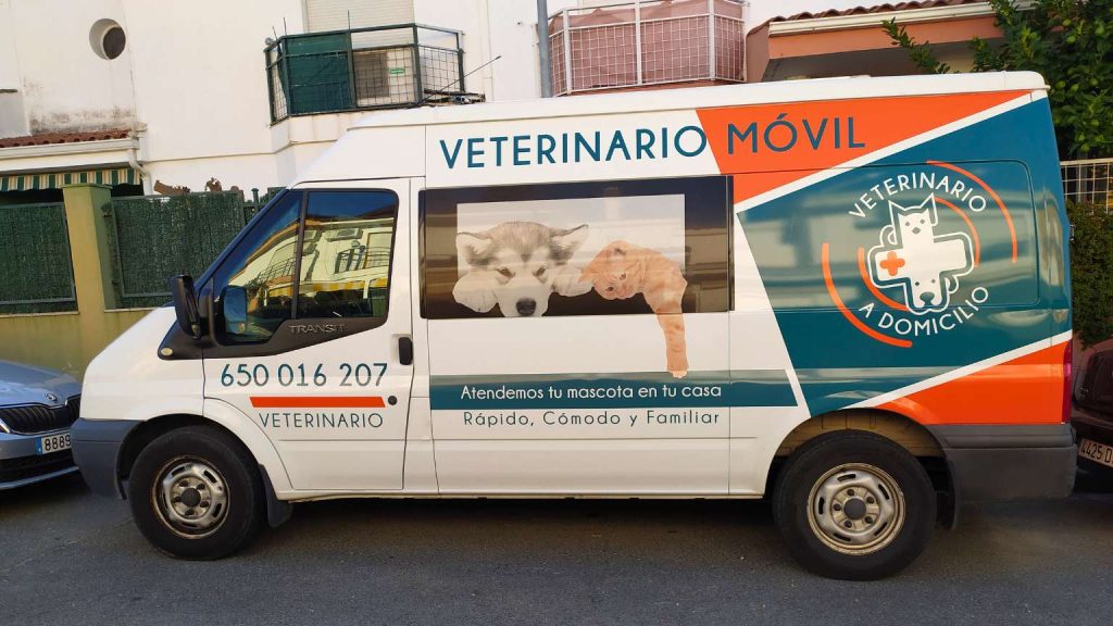 Veterinario a domicilio