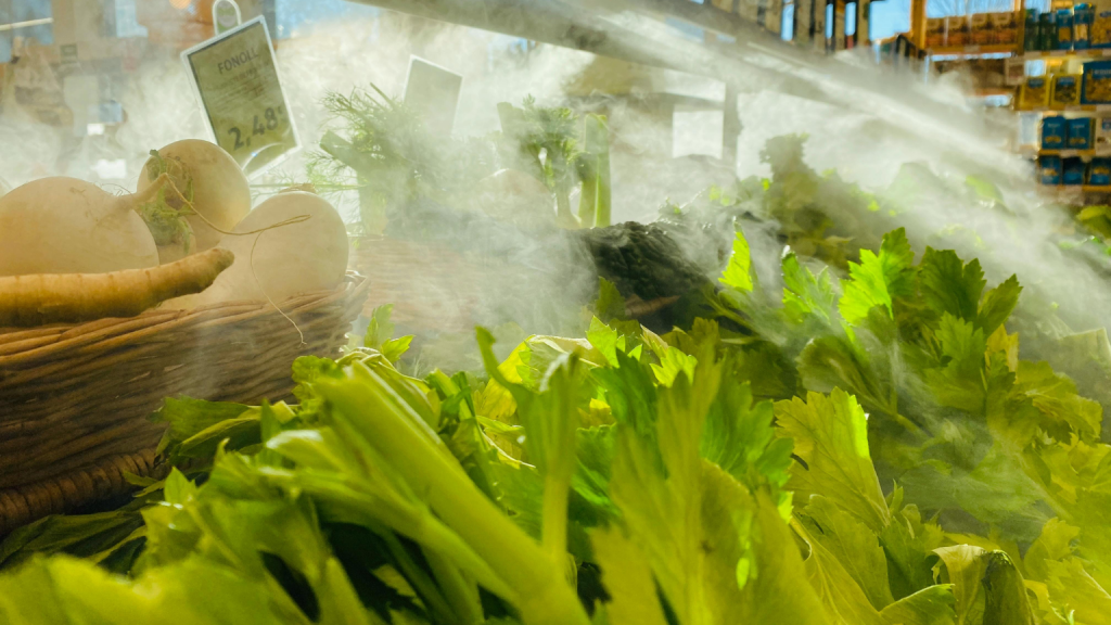 ¿Cómo Asegurarte de Comprar las Verduras Más Frescas y Nutritivas?