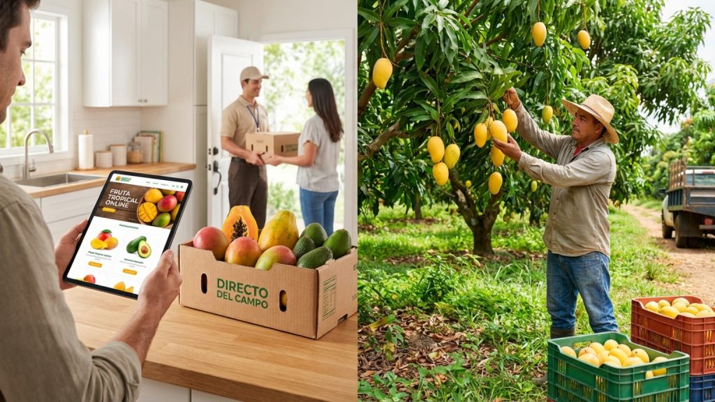 ¿Qué es la fruta tropical online y cómo llega a tu mesa?