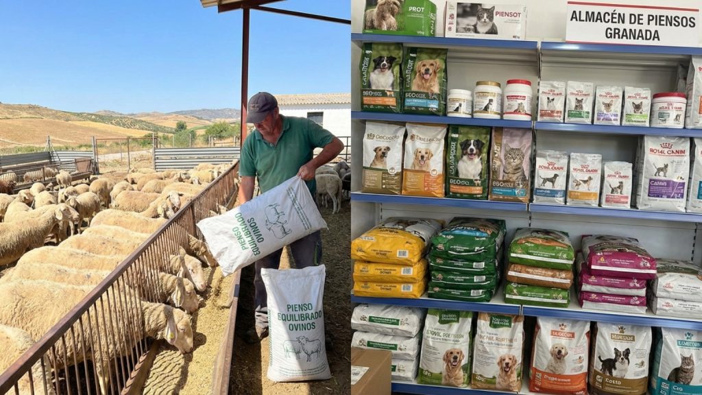 ¿Qué debes saber sobre la alimentación animal en Granada?