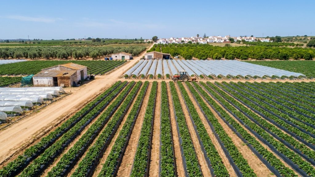 ¿Qué son las fincas rústicas en Lepe?